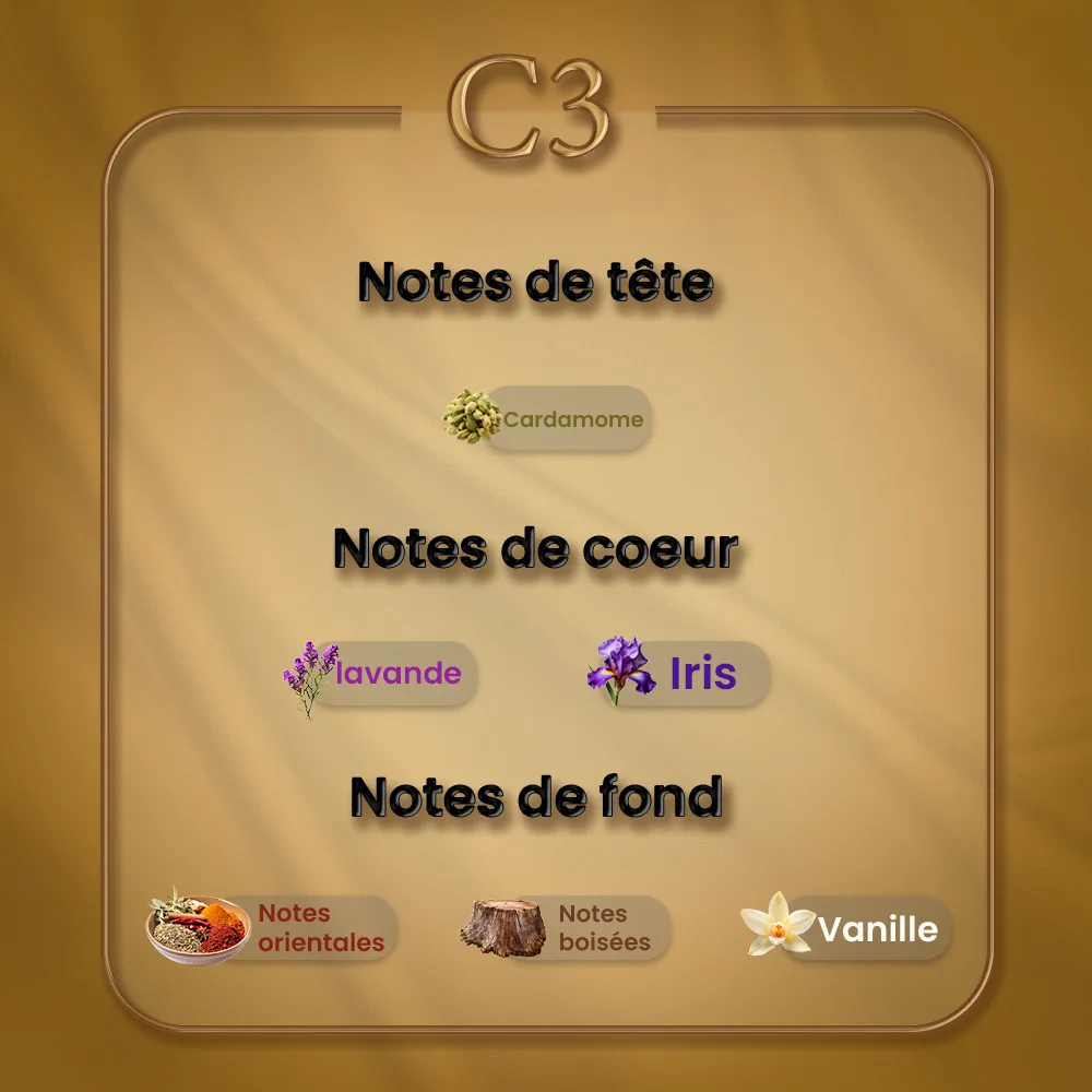 C03 - Le Male