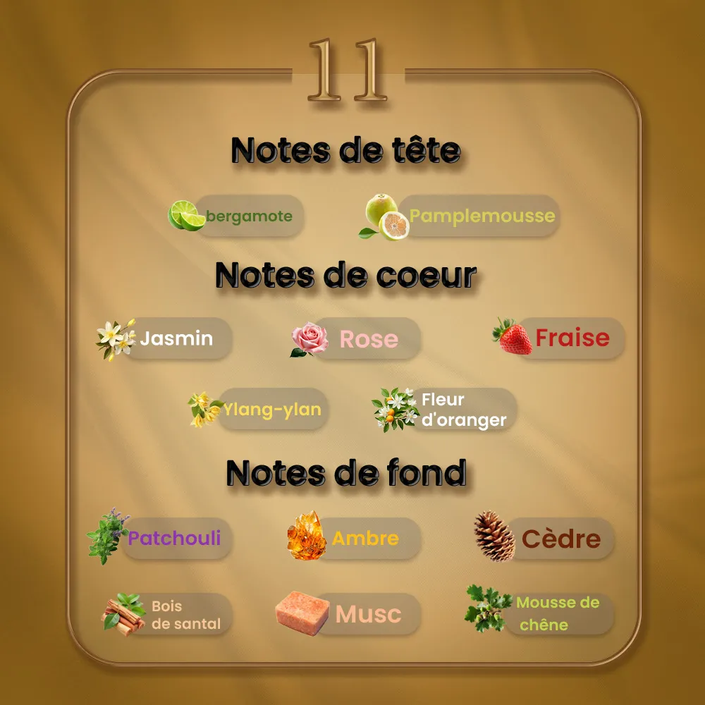 N11 - Grise Montaigne