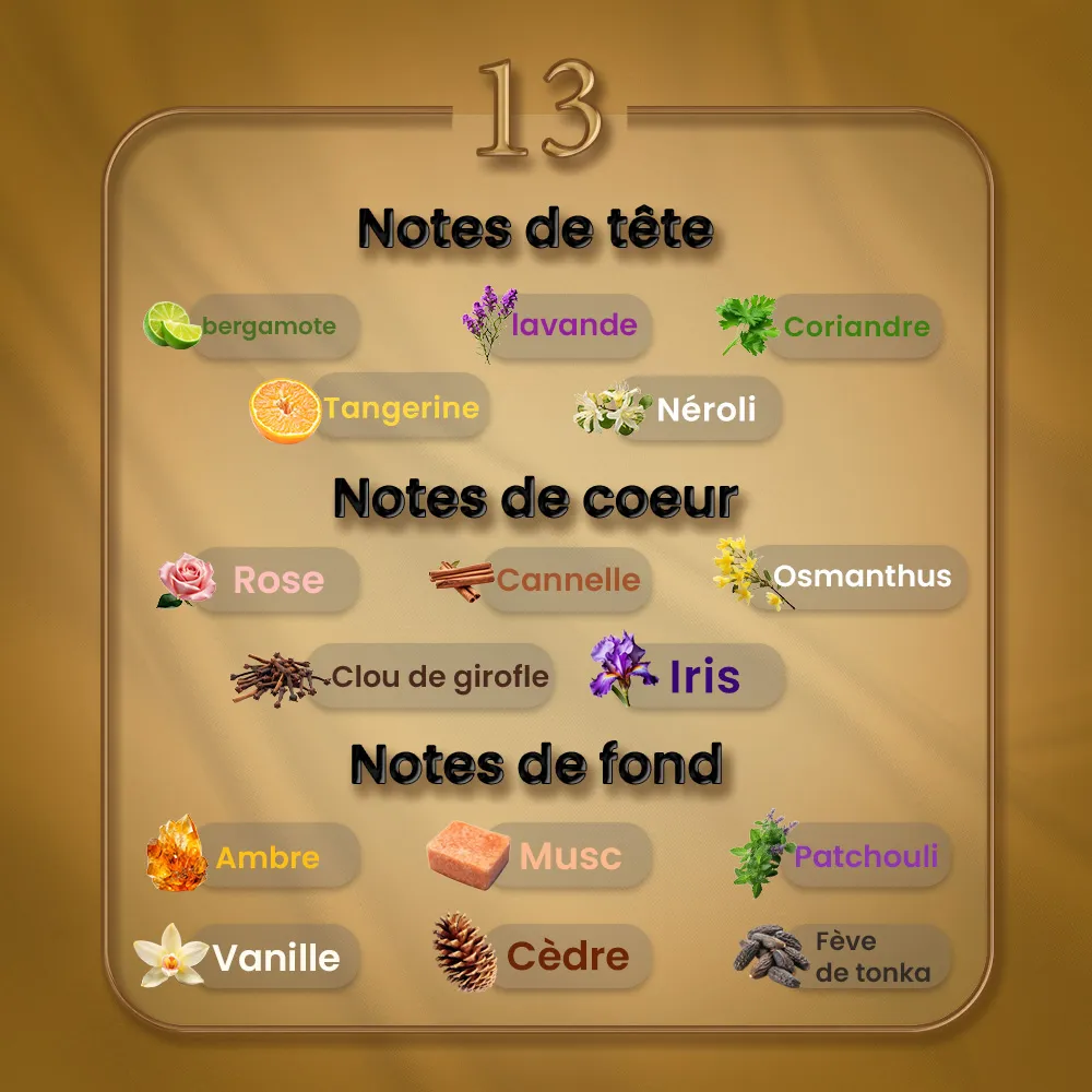 N13 - Musc Ravageur
