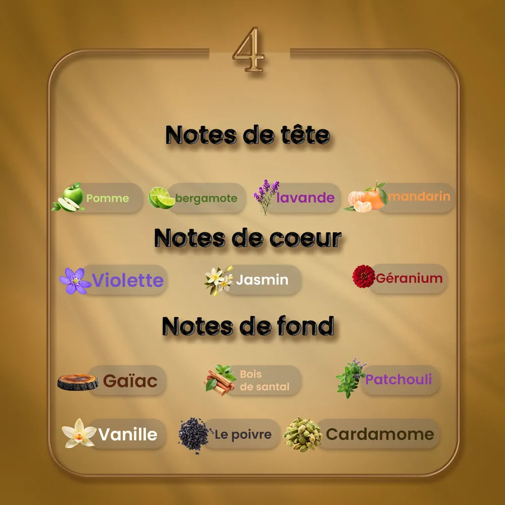 N04 - Layton