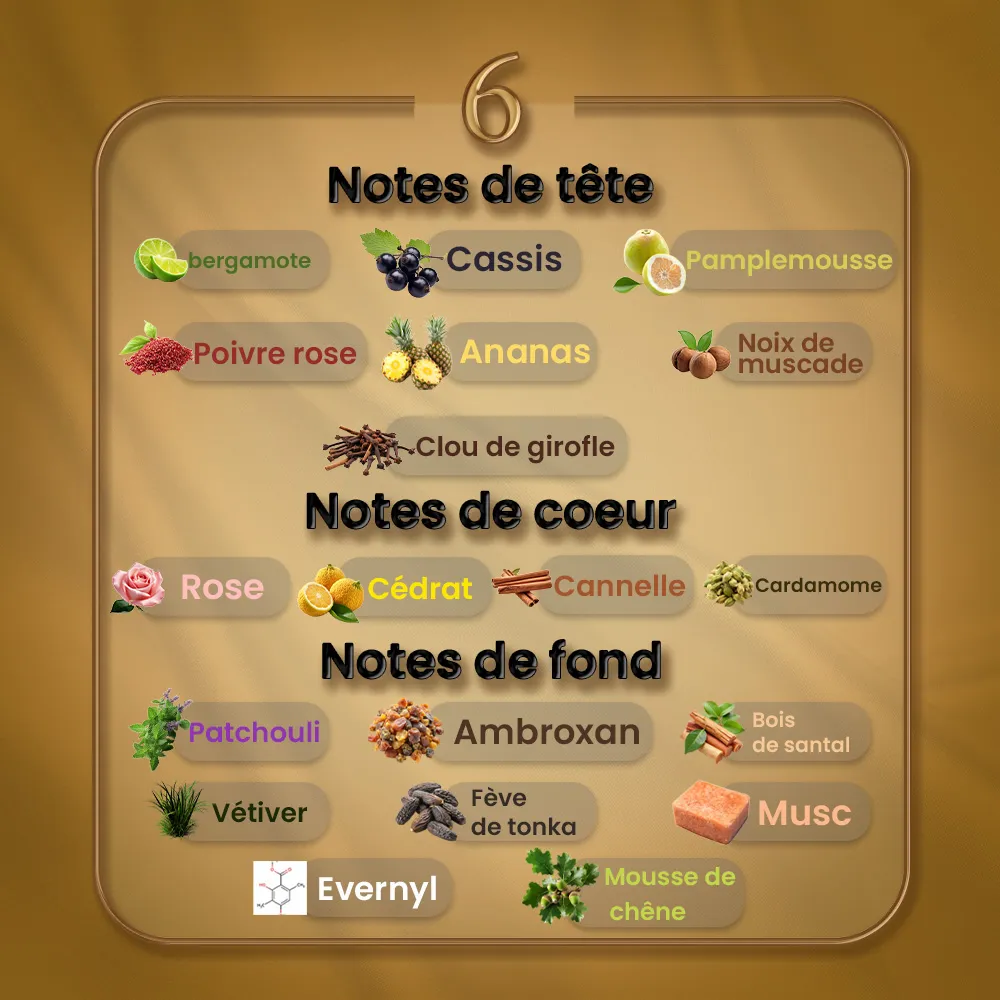 N06 - Absolu Aventus Creed