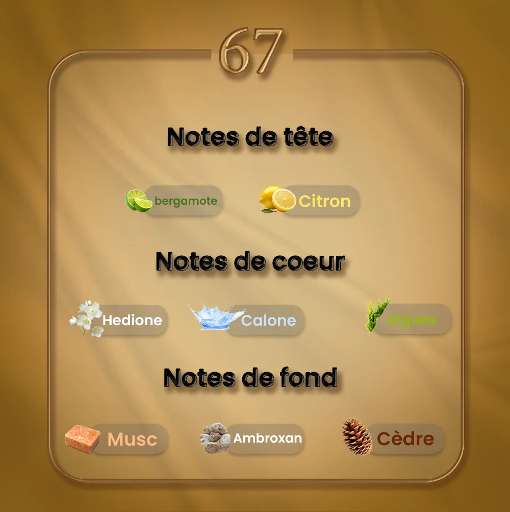 N67 - Megamare