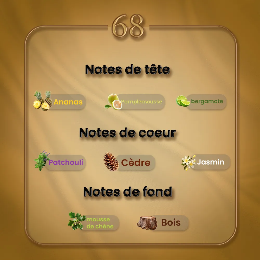N68 - Hacivat