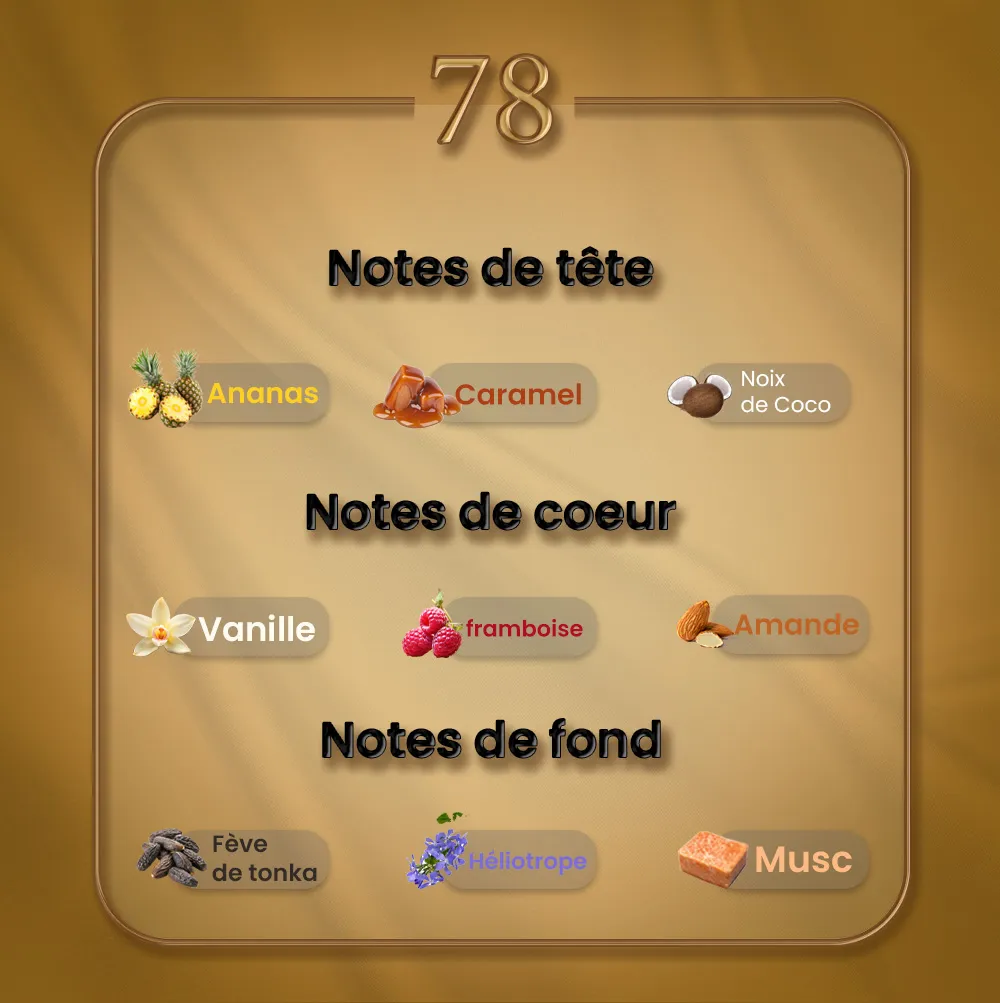 N78 - Création 2