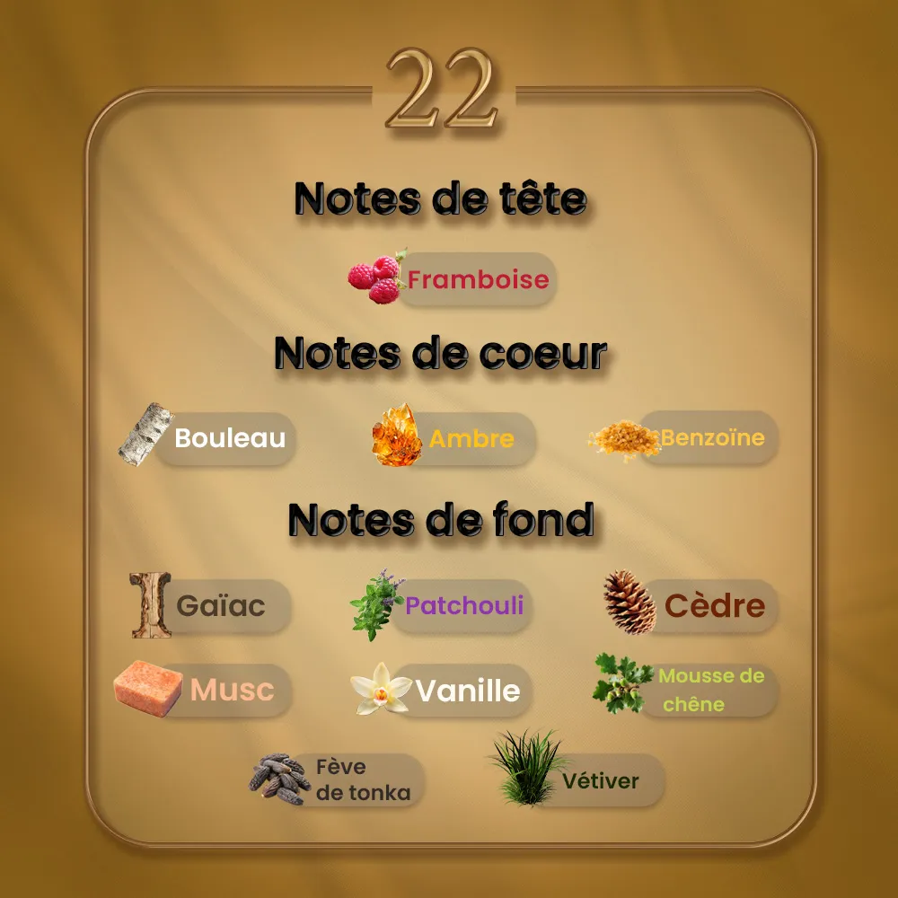 N22 - Terroni