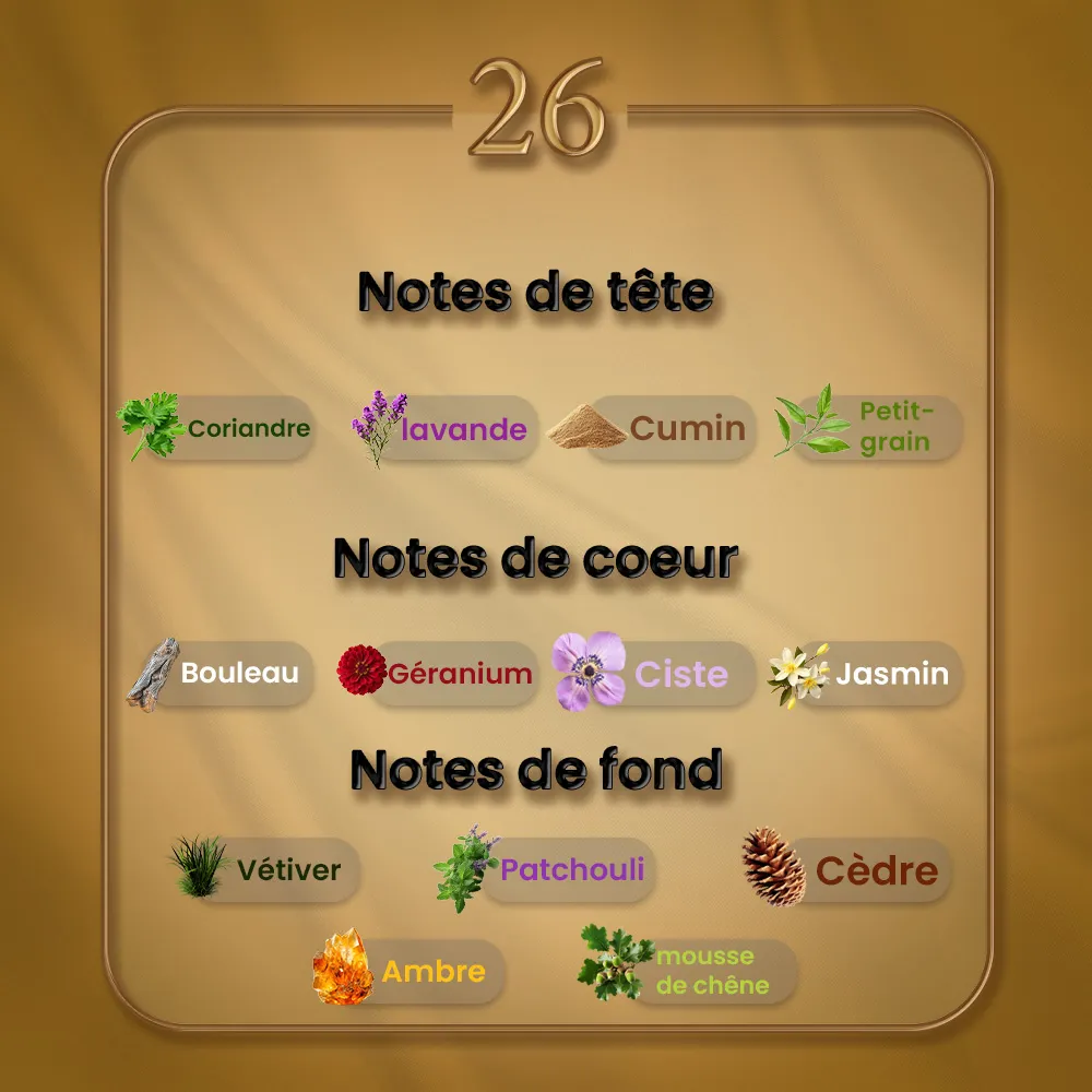 N26 - L'Air du Desert Marocain