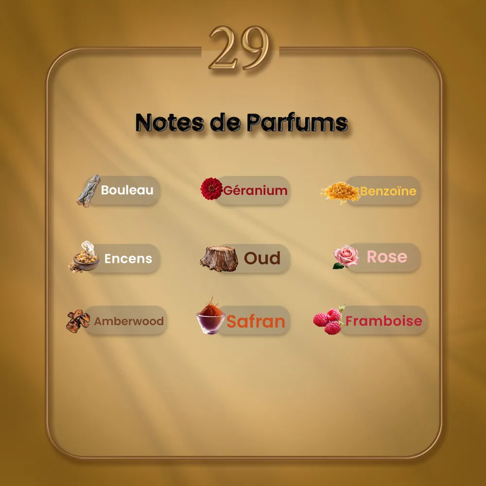 N29 - Ombre Nomade