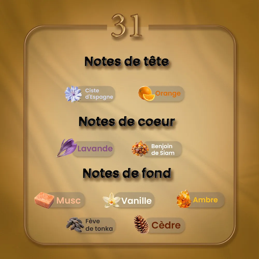 N31 - Grand Soir