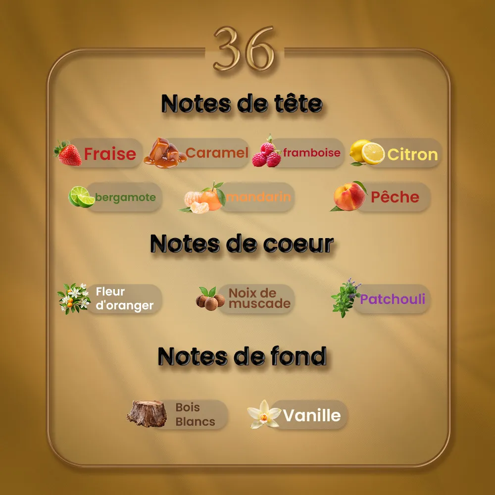 N36 - Création