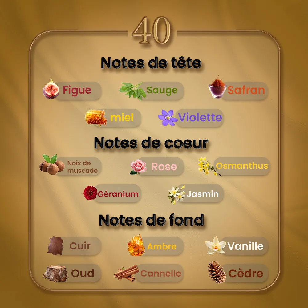N40 - Nefs