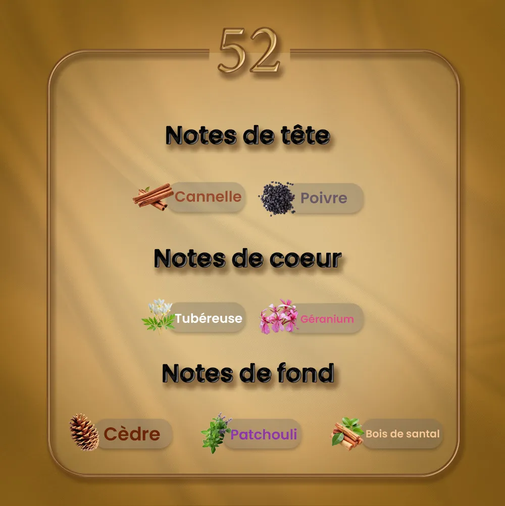 N52 - Ani