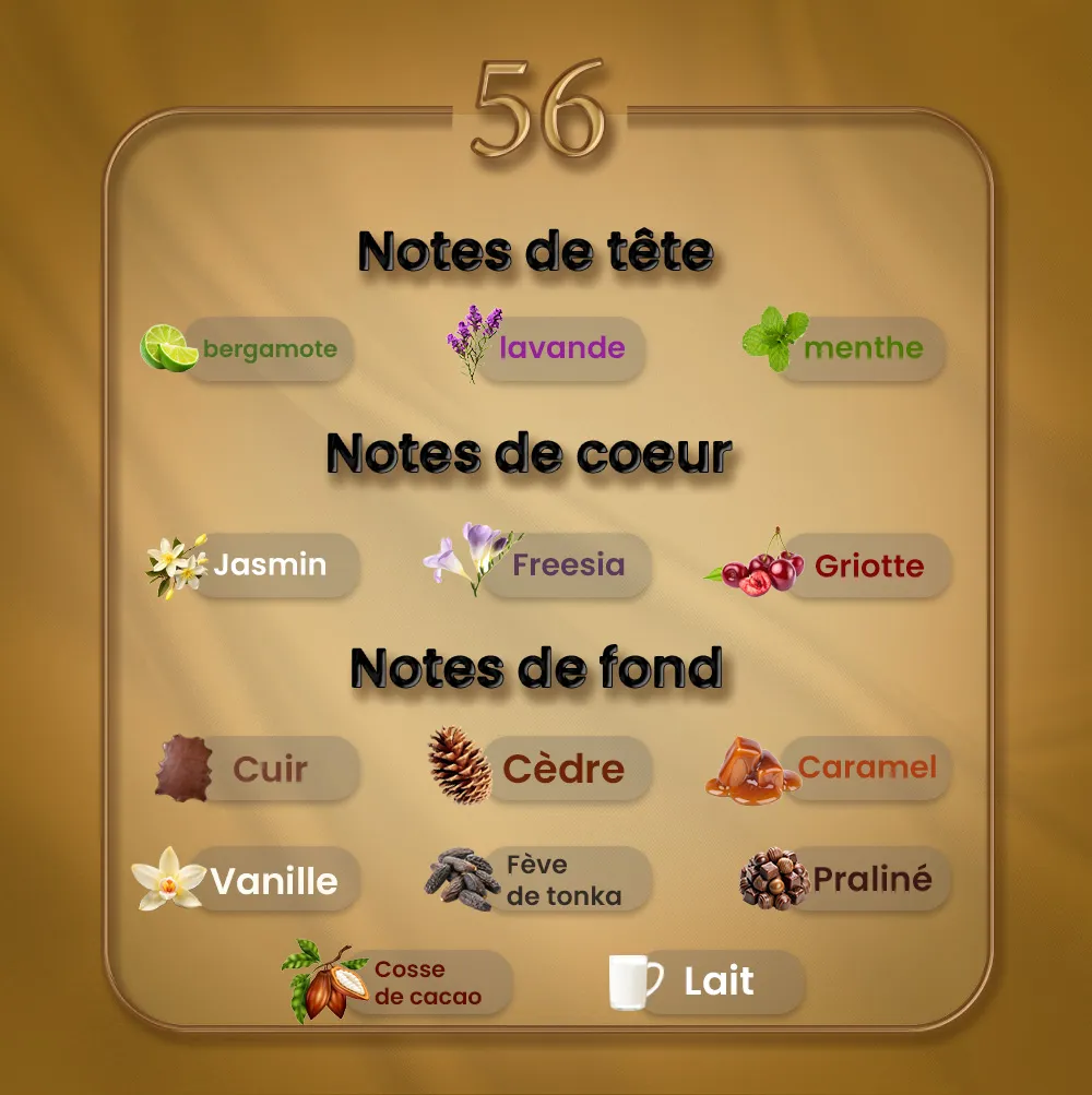 N56 - Ambre Nuit