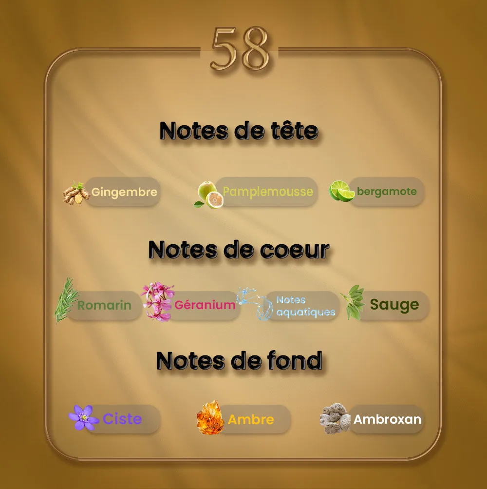 N58 - L’Immensité