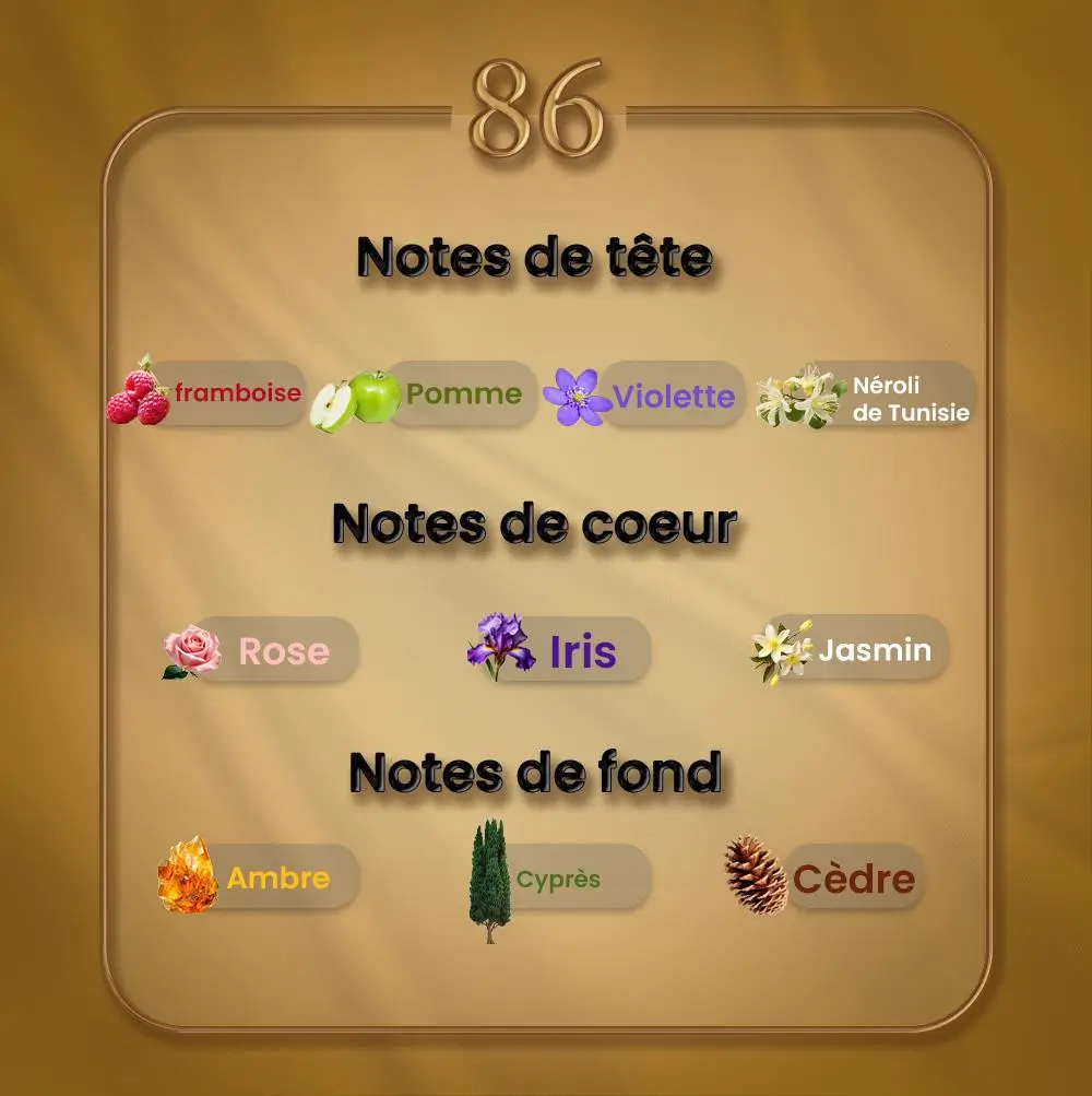 N86 - Flamenco
